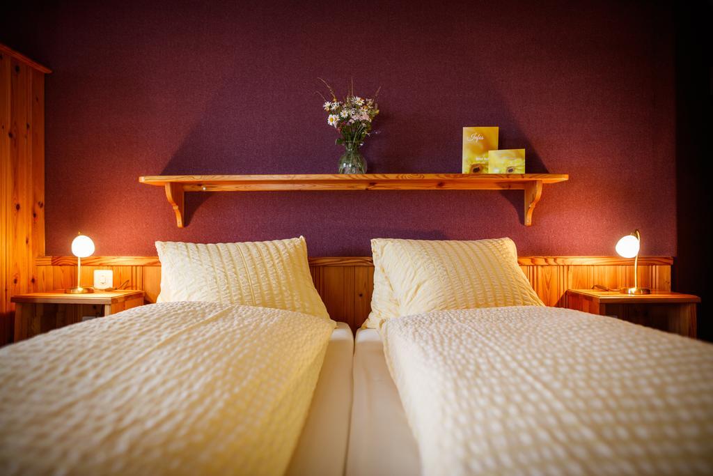 Hotel Nufenen Ulrichen Extérieur photo
