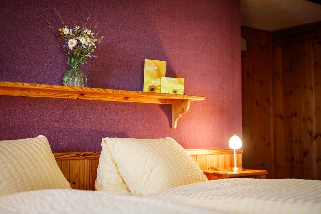 Hotel Nufenen Ulrichen Extérieur photo